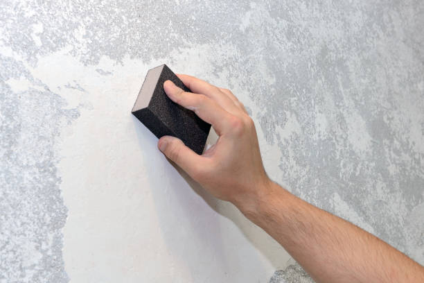 Best Crawl Space Mold Remediation  in Bicknell, IN