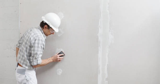 Best Water Damage & Mold Remediation  in Bicknell, IN