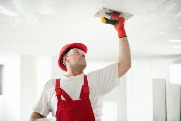 Best Emergency Mold Remediation  in Bicknell, IN